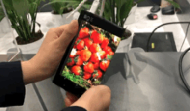 京东方液晶屏高端智慧产品AMOLED显示屏才是王道